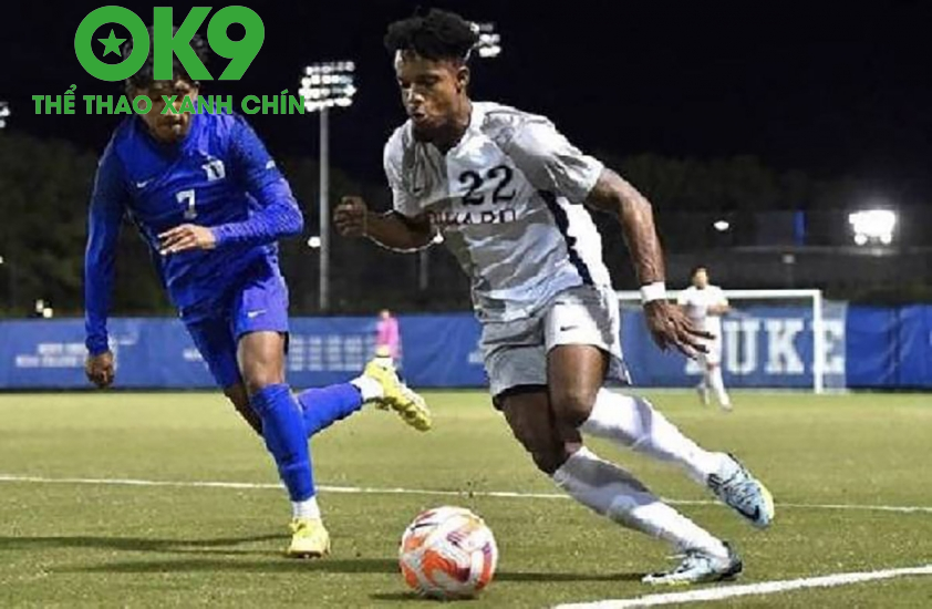 Cầu thủ Northcote City Hình ảnh cầu thủ Northcote City