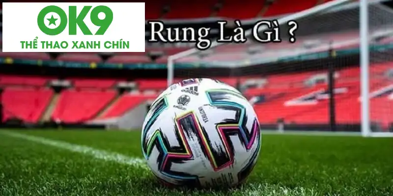 Định nghĩa chi tiết về kèo rung Định nghĩa chi tiết về kèo rung